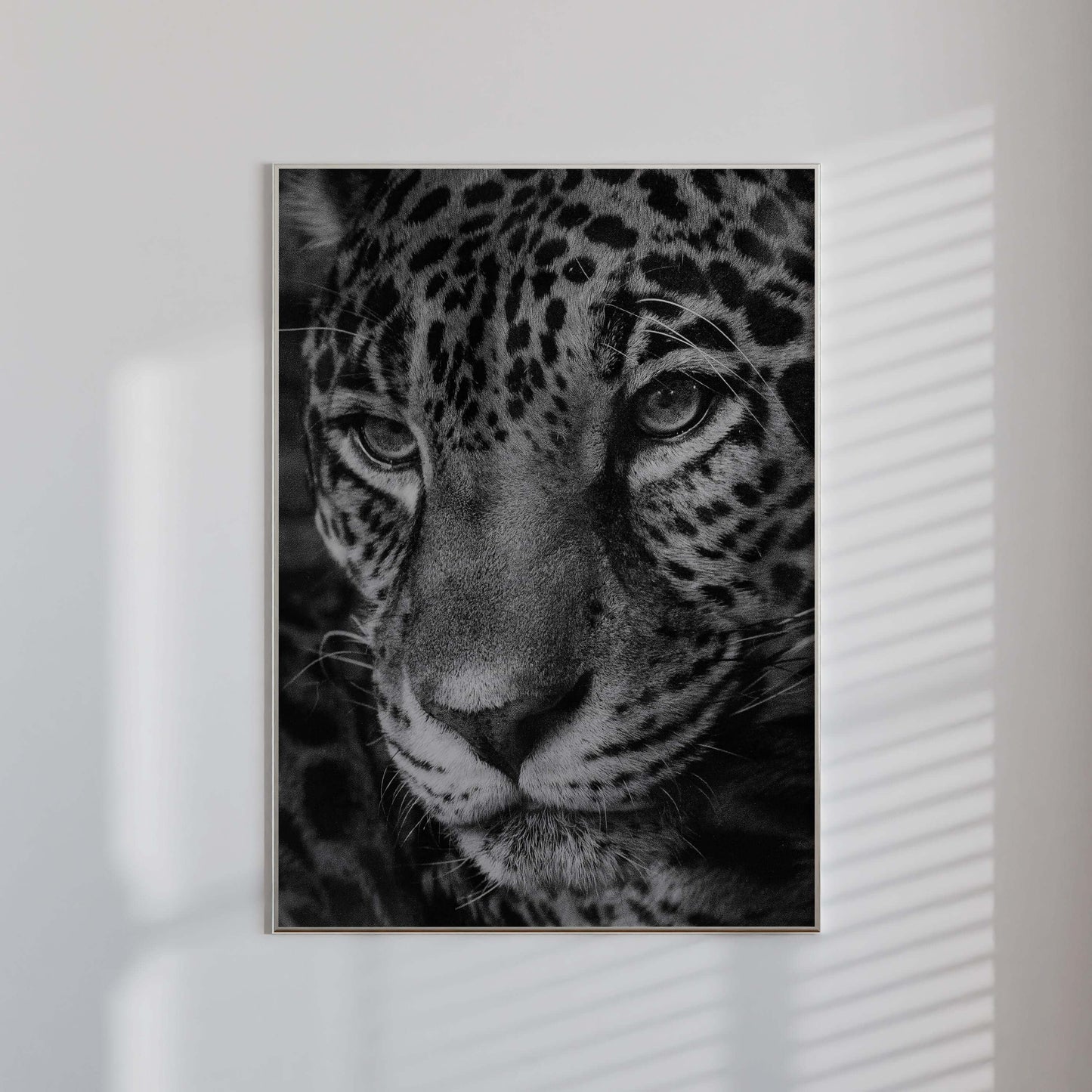 Fashion Home Decor Set of 3 Posters - Haus of Prints